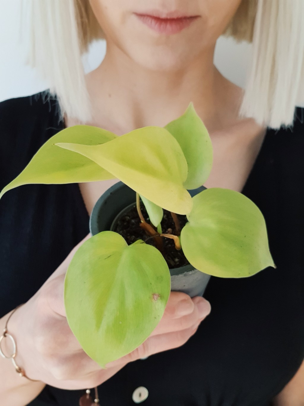 15 pomysłów na roślinne prezenty