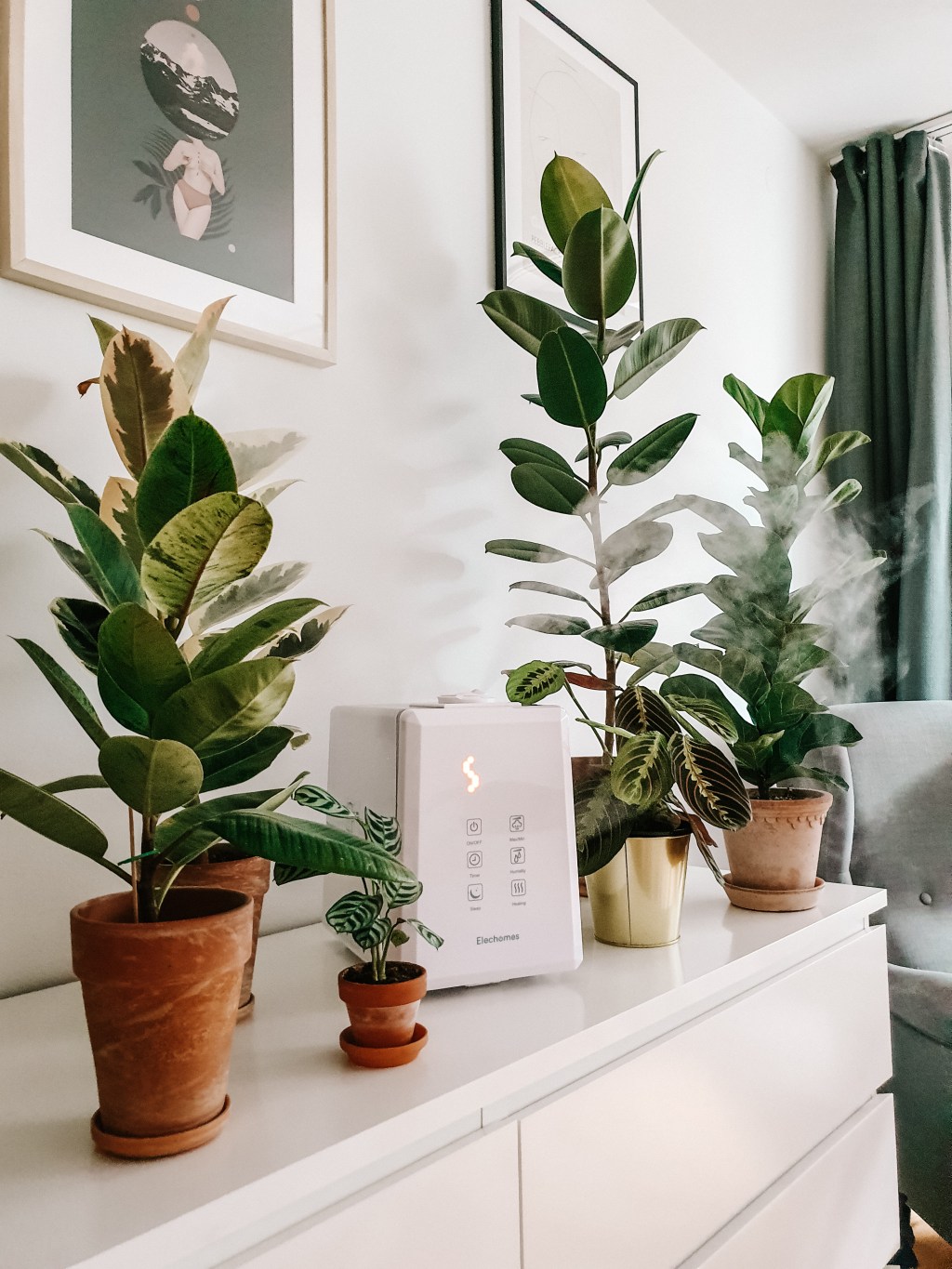 Jak przygotować rośliny domowe na jesień